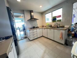 The Atria At Meyer (D15), Condominium #479762171